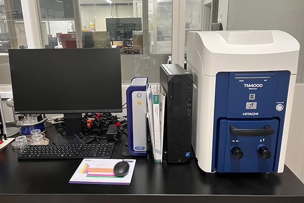 SEM-EDX